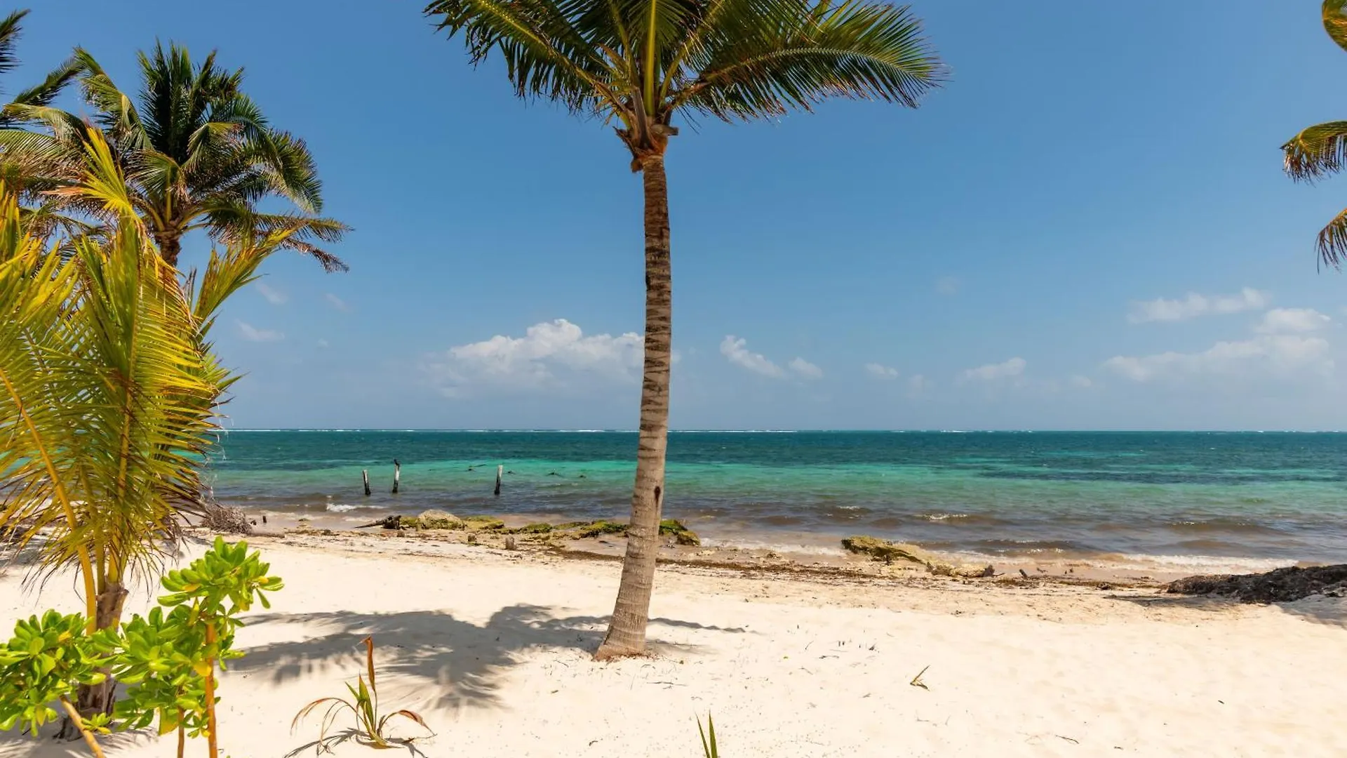 Arenika Beach House Puerto Morelos Ξενοδοχείο