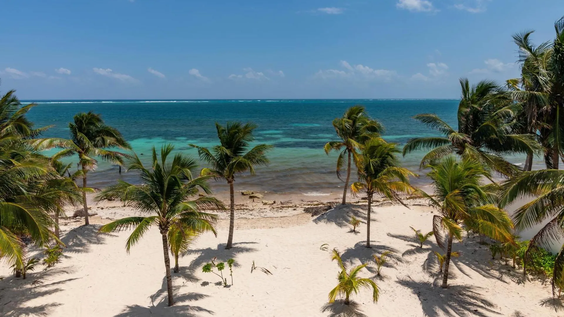 Arenika Beach House Puerto Morelos 3*,  Μεξικό