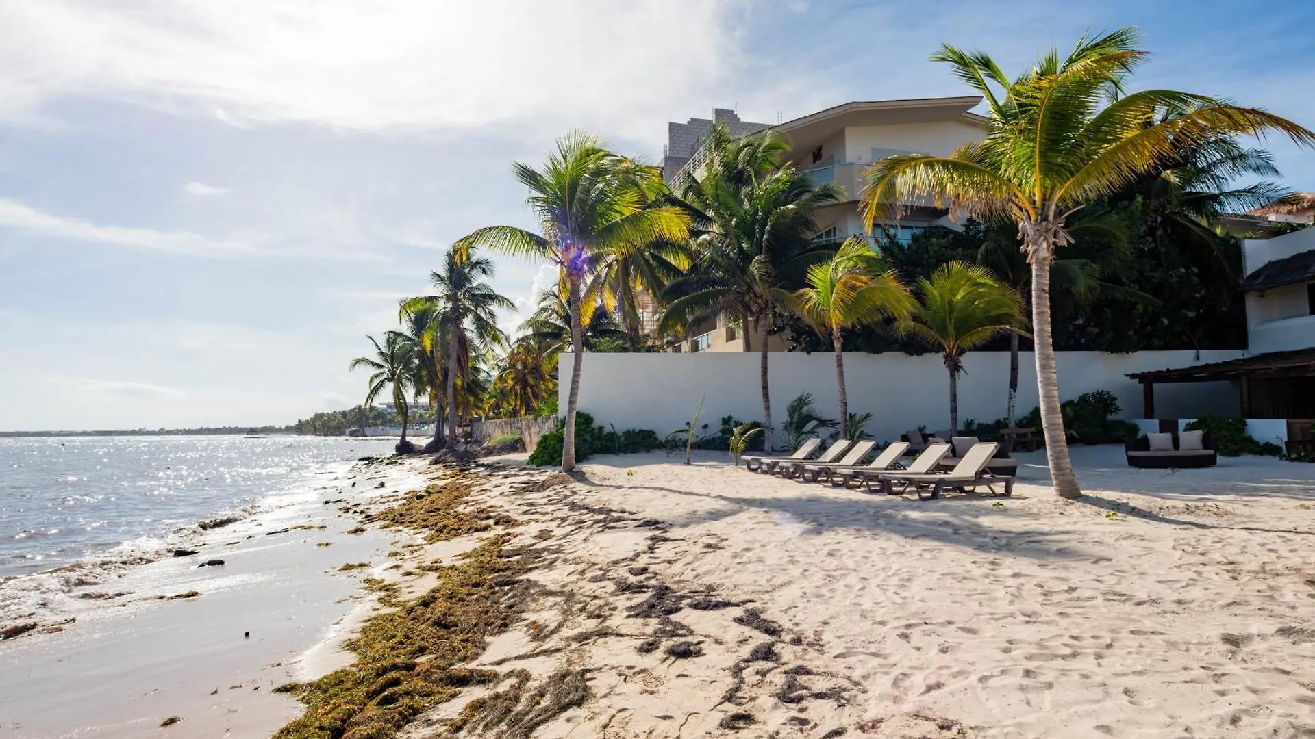 Arenika Beach House Puerto Morelos Ξενοδοχείο