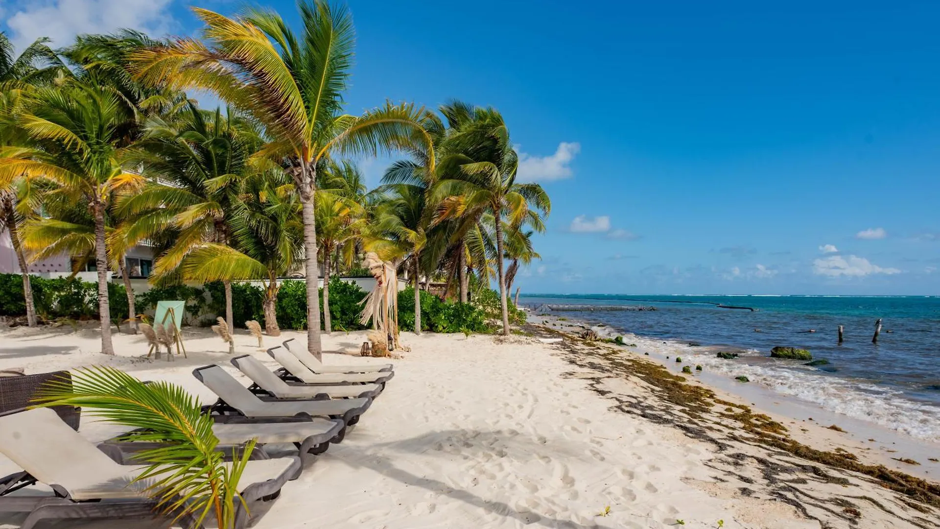 Arenika Beach House Puerto Morelos Ξενοδοχείο